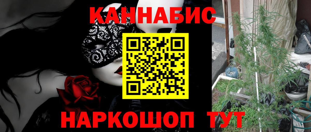 Подольск  МАРИХУАНА план  Бошки марихуана Bruce Banner  Вход с VPN  Бошки марихуана сатива 
